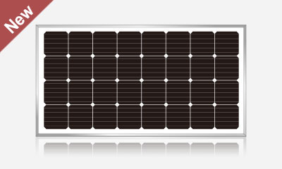 P170 Watts PV module